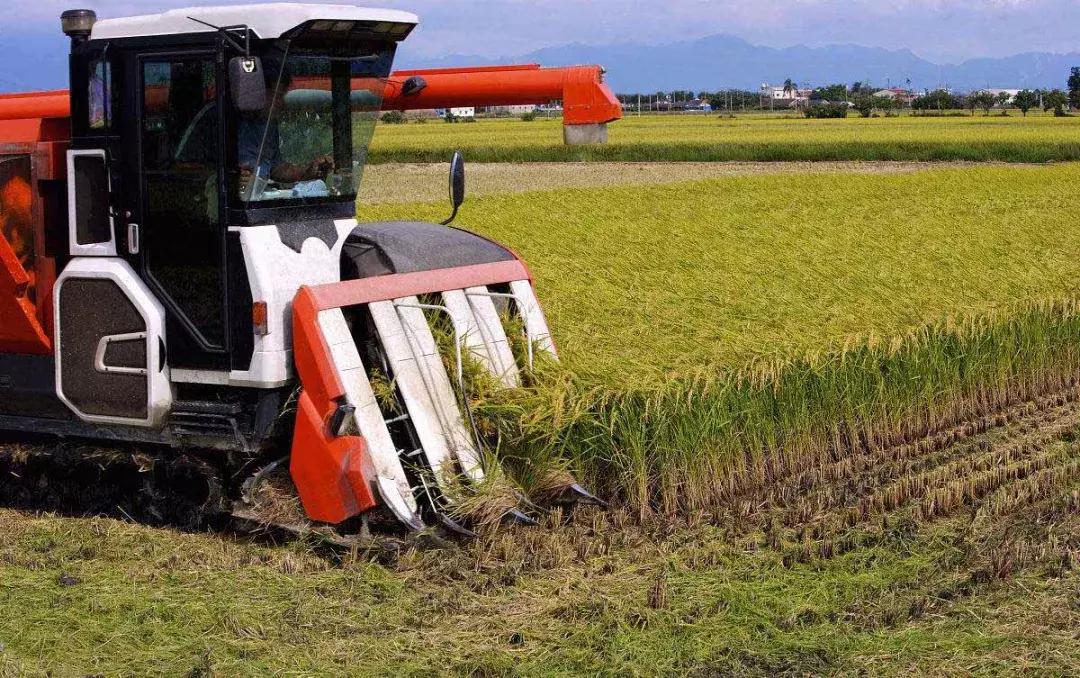 高端农业的商业模式,高档农业创业项目