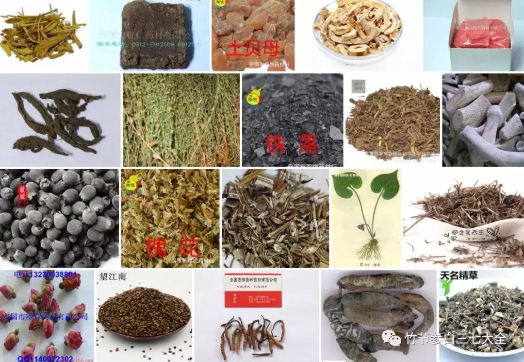 冷背中药材名录大全,冷背中药材批发大全