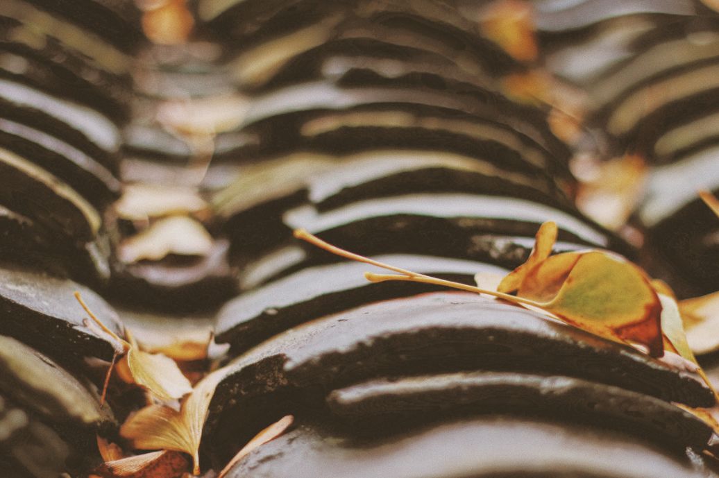 这些绝美小黄片,已经陆续在全国上线,找个时间去扫黄吧