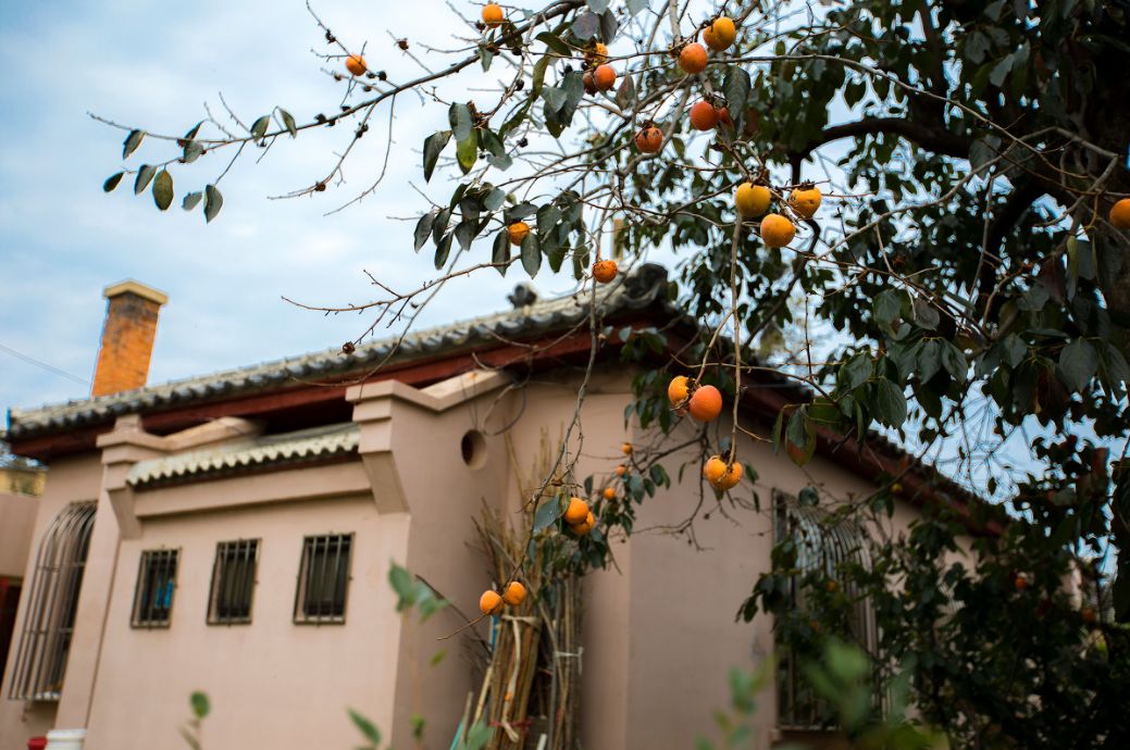 这些绝美小黄片,已经陆续在全国上线,找个时间去扫黄吧
