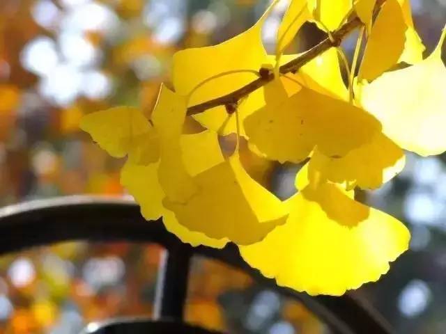 这些绝美小黄片,已经陆续在全国上线,找个时间去扫黄吧