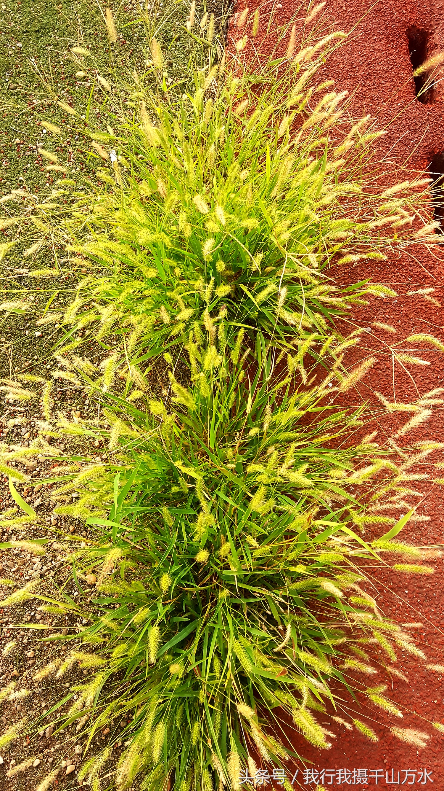 民间健身及尽享足球之乐的好场所——西安西光厂体育场