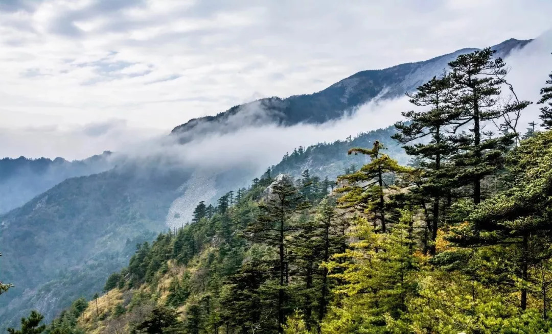 9月起，兵马俑、华山、法门寺、太白山等景区降价！