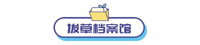 别拦我！顶着十级山竹我也要去！科技发烧友们不能错过的福利