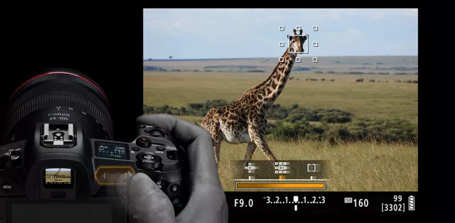 佳能eosr6是个什么档次的相机,佳能eosr缺点