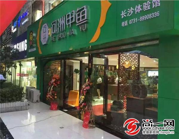 河洲甲鱼:专注专业编织十亿产值梦