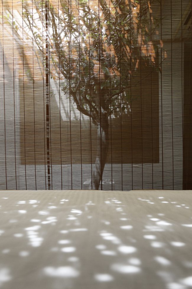 猫屋和主人屋一个房间,一只猫咪6平米玻璃猫屋设计