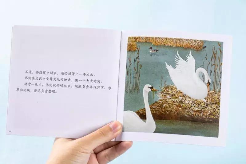 最近流行适合女性的一套书,平价颜值又高容量大的书