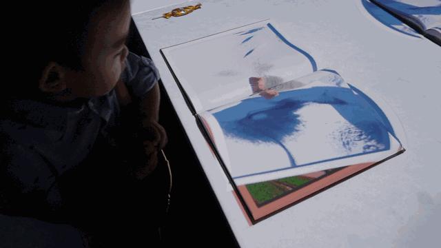 北戴河五大网红地标打卡游攻略,北戴河湿地公园网红打卡地