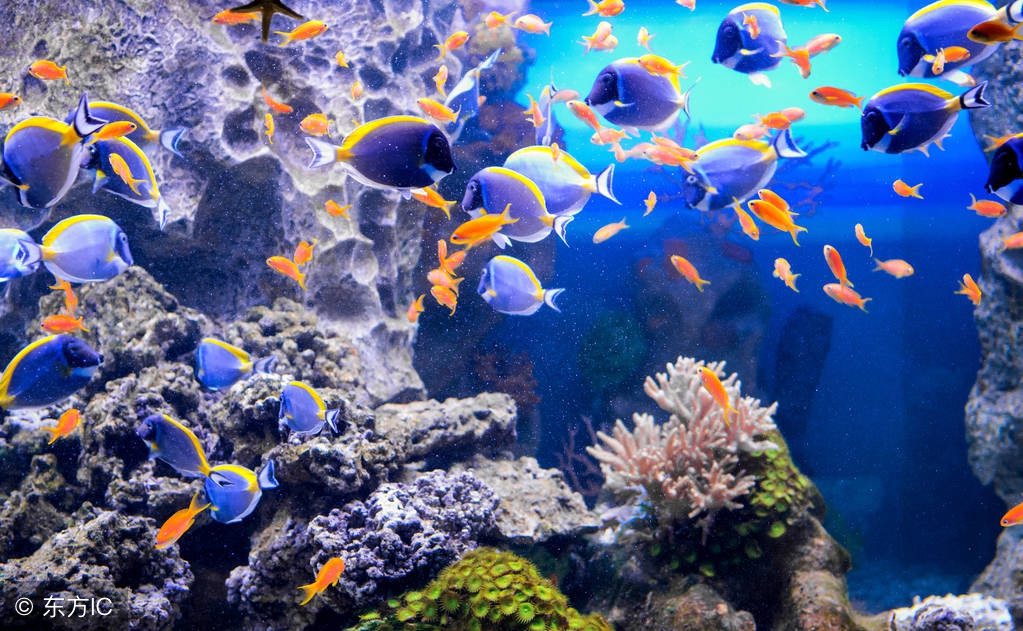 世界公认十大主题乐园 (盘点国外7大主题乐园)