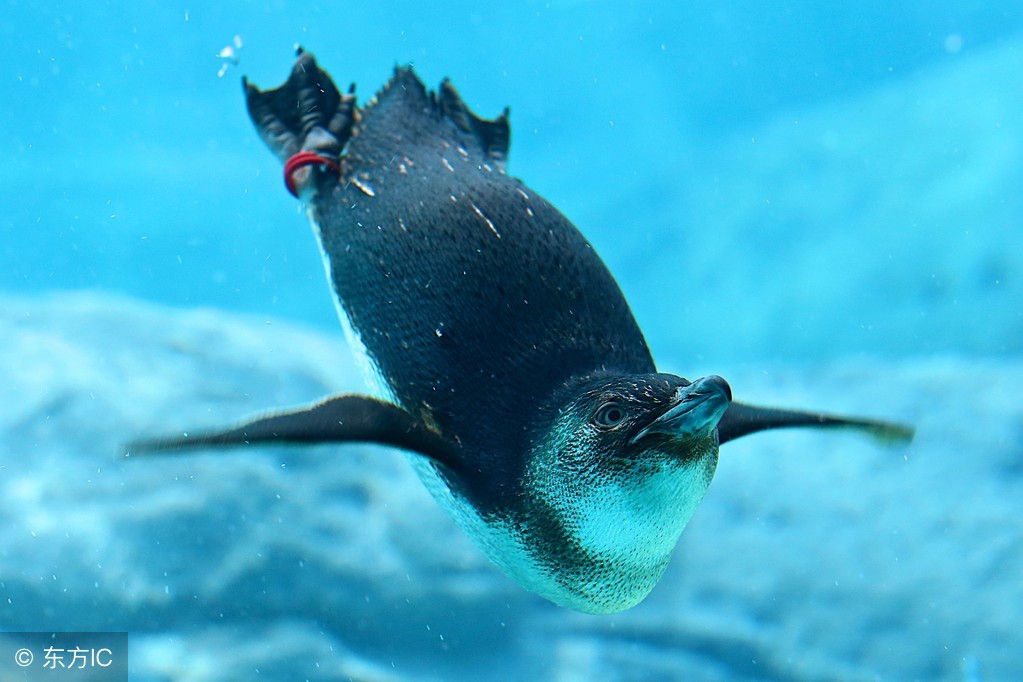 世界公认十大主题乐园 (盘点国外7大主题乐园)