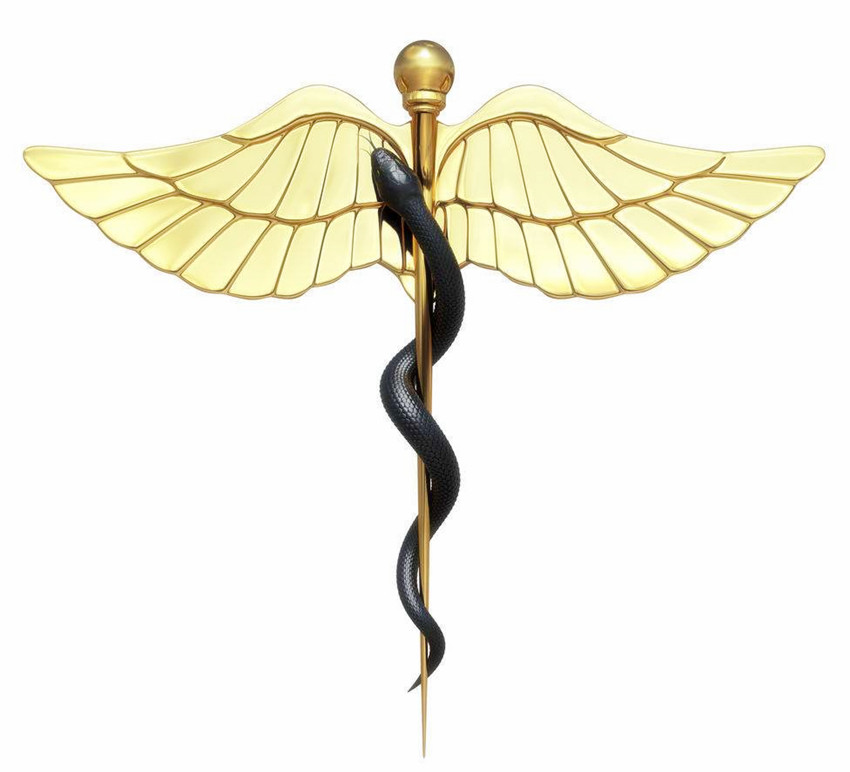 为什么属蛇和属蛇的能说到一块,属马为什么不喜欢属蛇