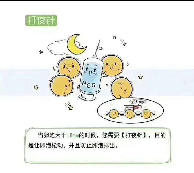 揭秘试管婴儿在试管中的成长记,一分钟就能读懂的试管婴儿全流程