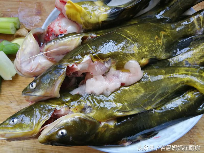 都说鱼好吃但这5种人最好少吃,都说鱼有寄生虫那到底能不能吃呢