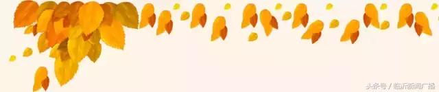 展销会火爆视频,展销火爆现场