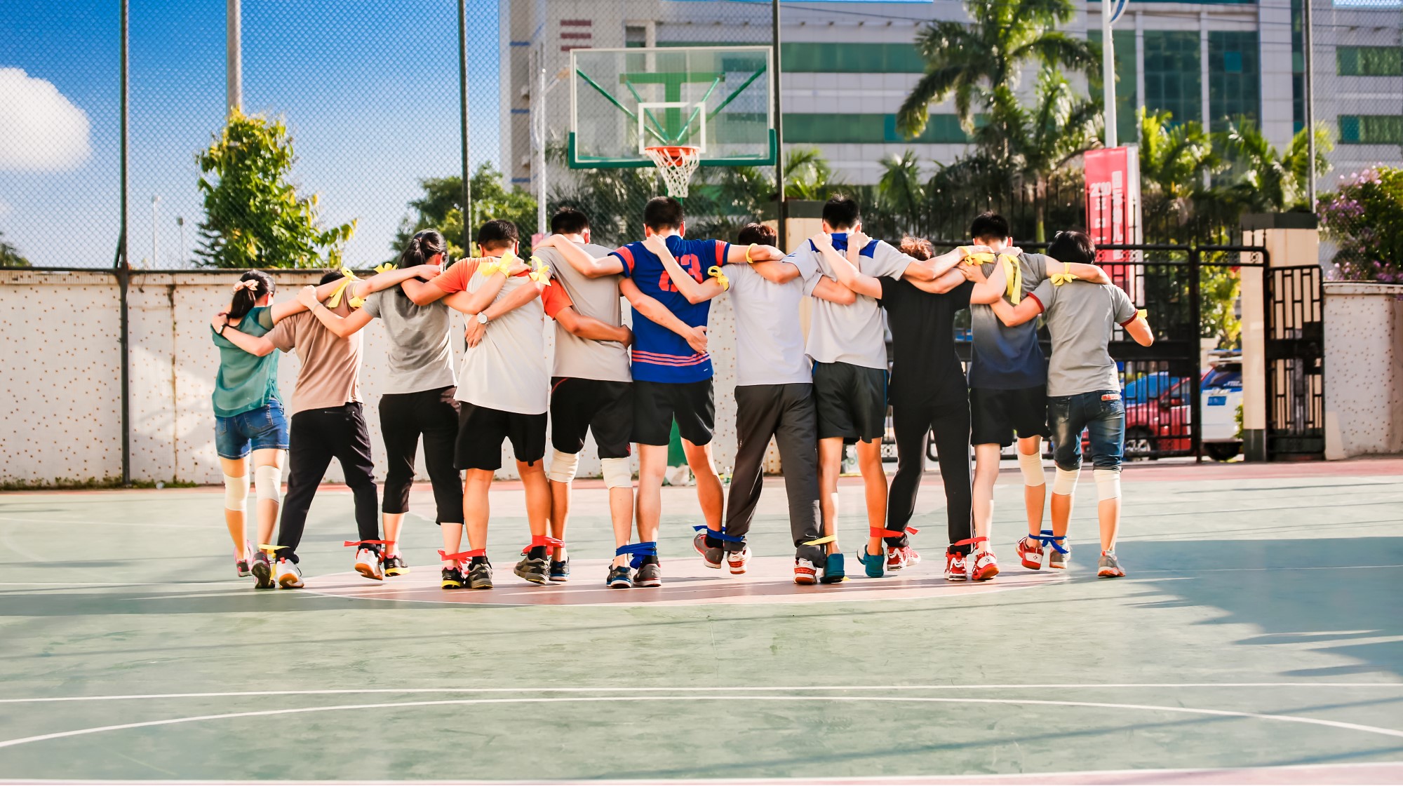 血粘度偏高什么引起的,血粘度偏高那么一点要紧吗