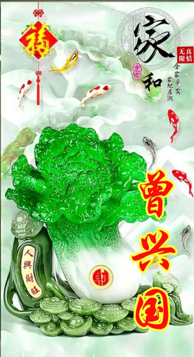松鹤延年国画寓意,松鹤延年花语