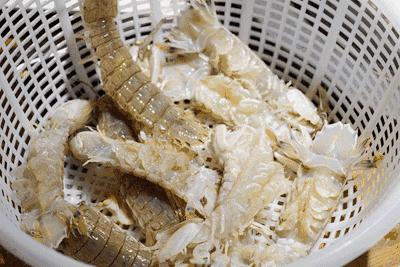 开海后的生猛海鲜已抵达秦皇岛,秦皇岛开海前的海鲜