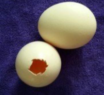 煮鸡蛋还可以怎样吃,煮鸡蛋的十种懒人做法