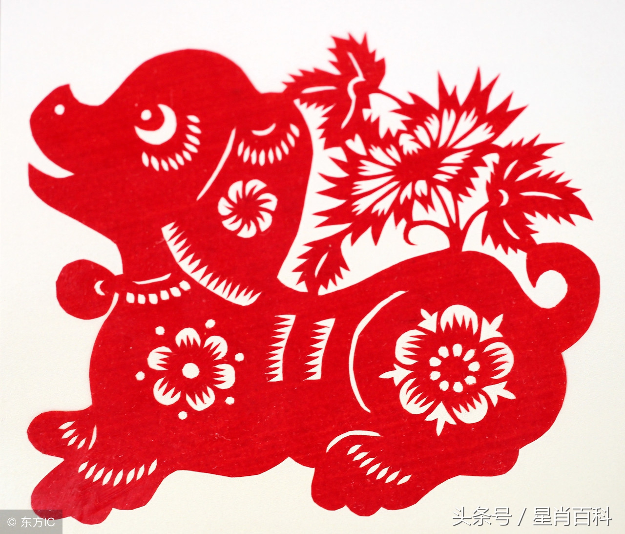 怎样佩戴十二生肖守护佛,吉祥物怎么戴身上不会掉