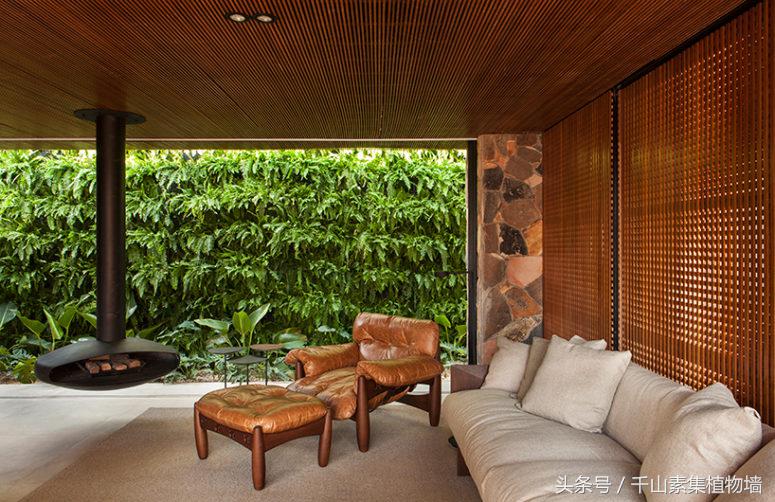 绿色植物墙效果怎么样,最好看的植物墙