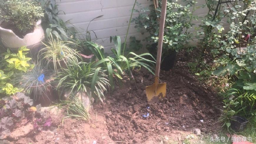 庭院景观鱼塘建造,庭院简单小鱼塘建造