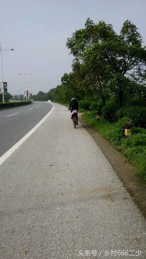 平凡之路赏析,平凡之路赏析及感悟