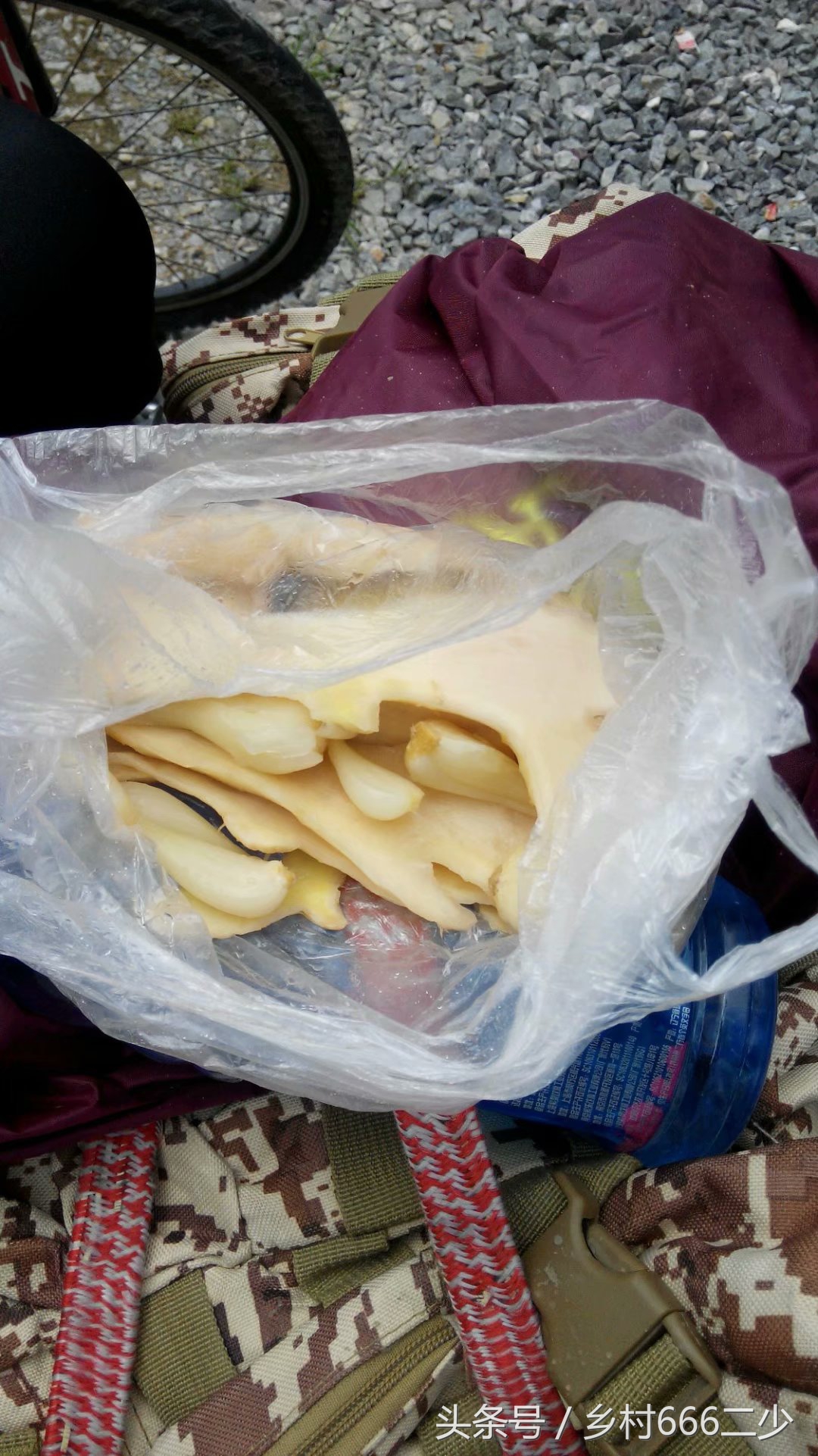 平凡之路赏析,平凡之路赏析及感悟