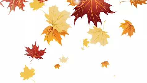 白露时节养生起居篇,白露防脾胃受寒养生之道网