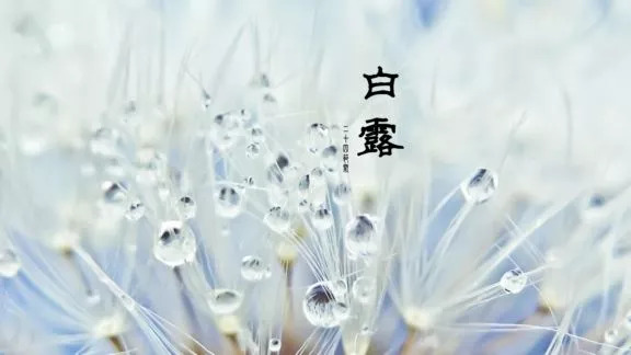 白露至秋意浓天气渐凉早晚添衣,今日白露秋意浓浓天变凉