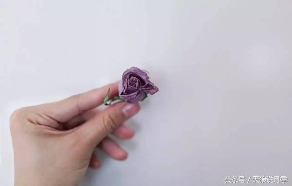 如何做干花最完美,适合南方的干花的制作方法