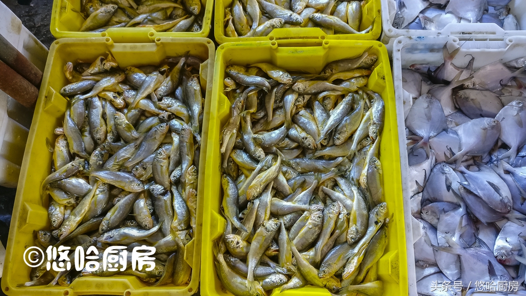 秋季吃什么海鲜便宜还好吃,秋季吃海鲜大全