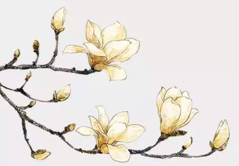 武汉汉正街文化,硚口文化底蕴