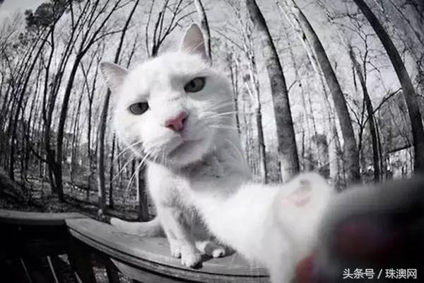 珠海中年少女的15个标签，你中了几个？