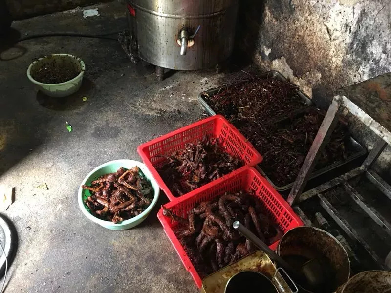 信阳市周黑鸭,信阳平桥周黑鸭