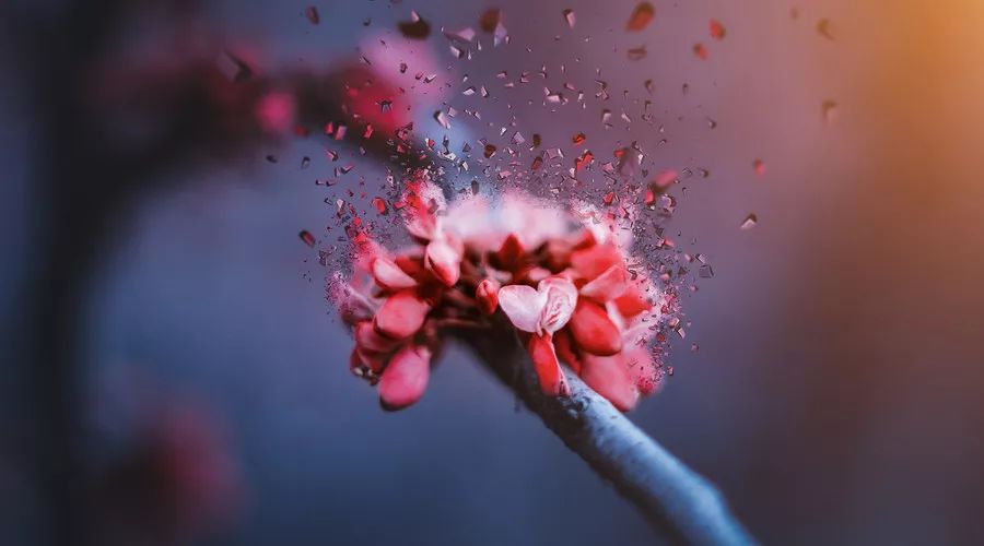 一位肿瘤患者的三年抗癌荆棘路，希望她的经历能帮你少走弯路……