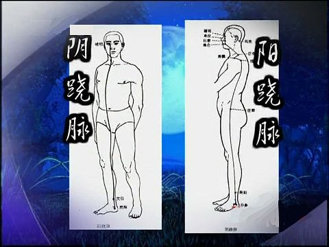 中基中诊题目,中基中诊理论知识重点