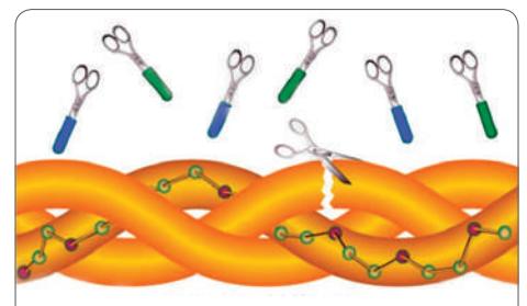 eltamd精华,eltamd抗初老精华