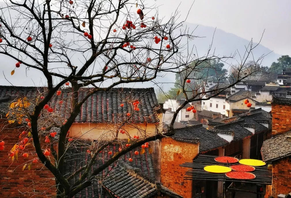 秋天最美婺源,秋季的婺源据说很美