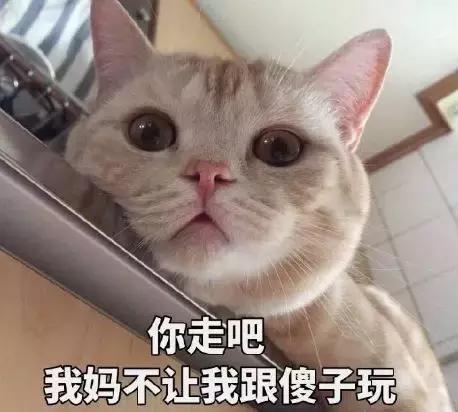 换季水乳推荐秋冬维稳,300元左右滋润型水乳单品推荐