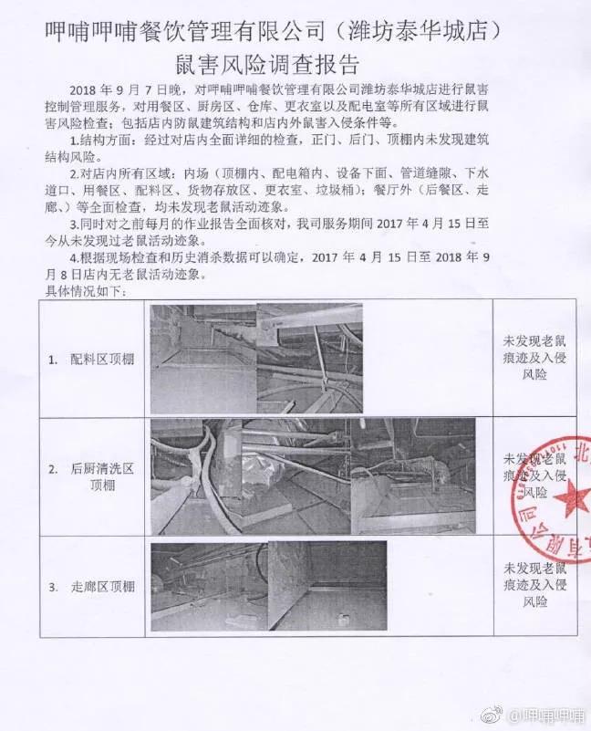孕妇火锅店吃出老鼠后续,孕妇呷哺呷哺吃到耗子