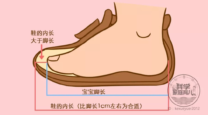 5个选鞋秘籍！护好娃的脚和腿！