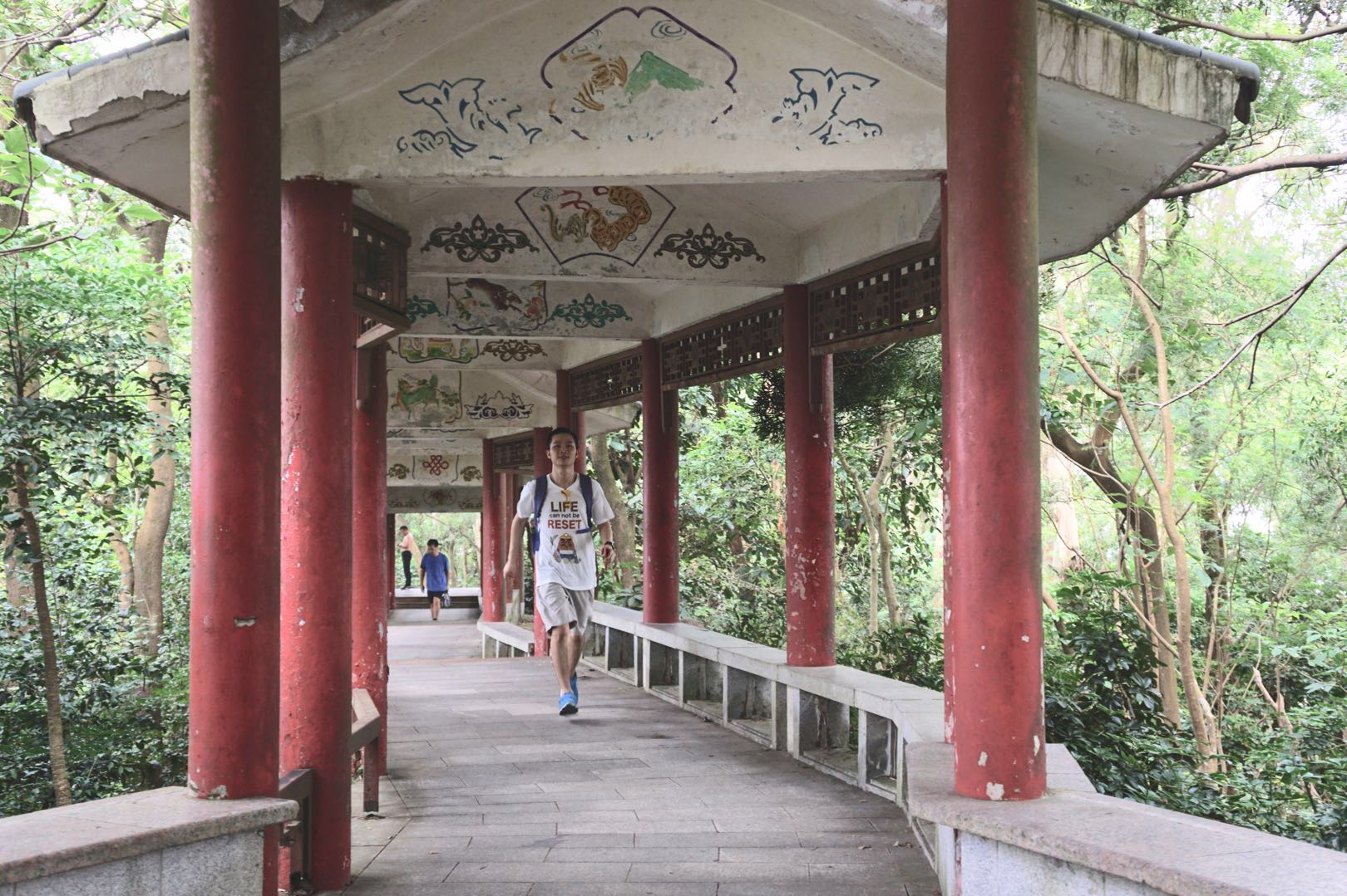 深圳南山周末玩乐推荐,深圳南山中山公园一日游攻略