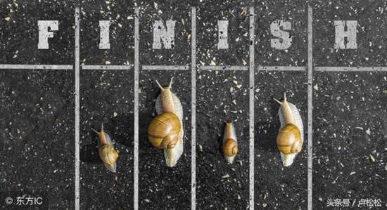 我的网络创业之路,互联网创业之路感悟