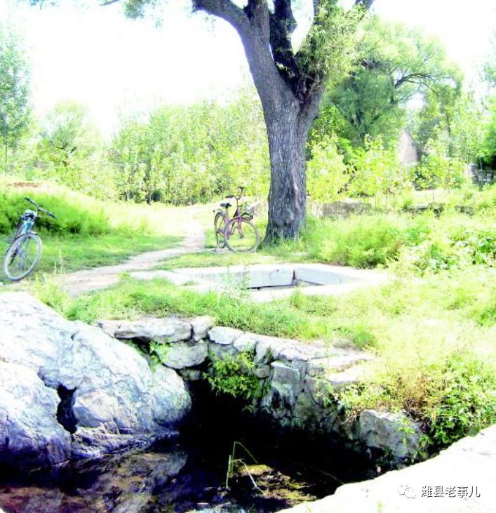 潍县有泉无？且看《寻泉记》！