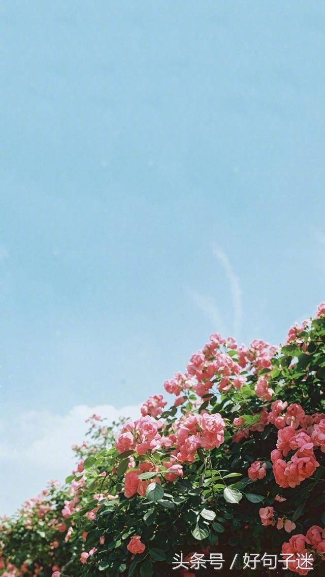 心情语录精致走心句句说到心窝上,一句话心情签名精辟走心短句