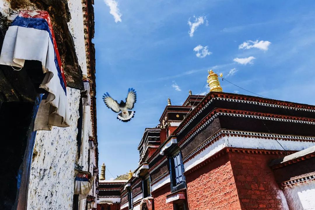 藏西的风景,藏西有哪些景点