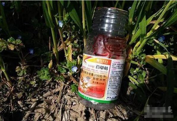 百草枯没有解药为什么还要抢救,百草枯没有解药为何还被使用