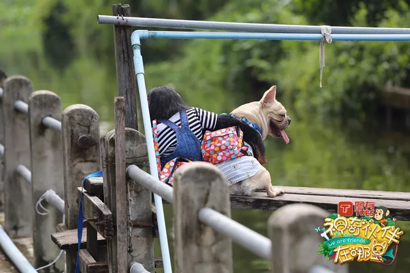 神奇伙伴在哪里8期,浙江卫视神奇伙伴在哪里