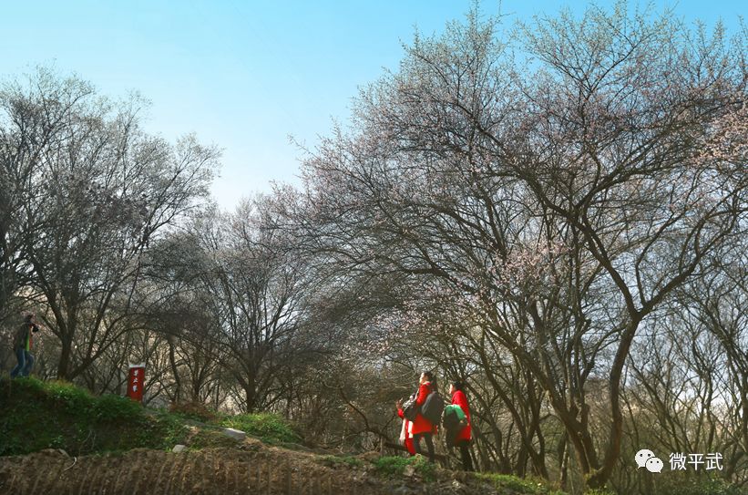 从a到z的城市,从a到z的英语表白